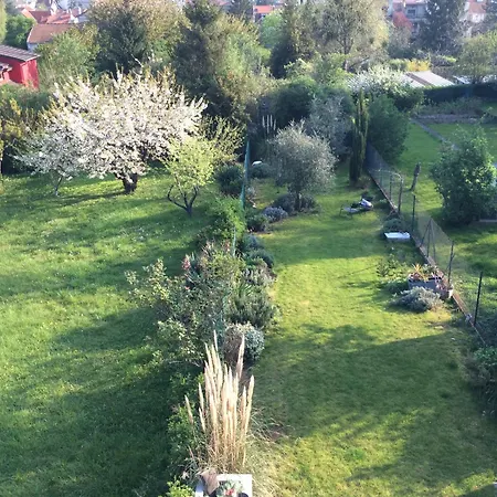 Terrasse Vue Panoramique D'exception